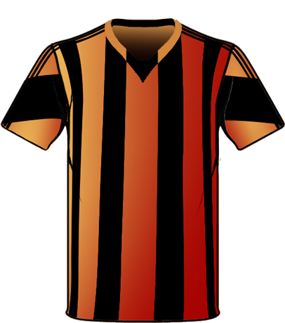 Hull City Shirt